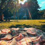 Picknickdecke auf sonniger Wiese