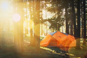 Zelt im Wald