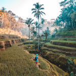Indonesien Bali Reisen