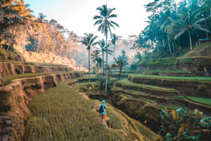 Indonesien Bali Reisen
