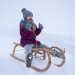 Schlitten: Test, Vergleich und Kaufratgeber