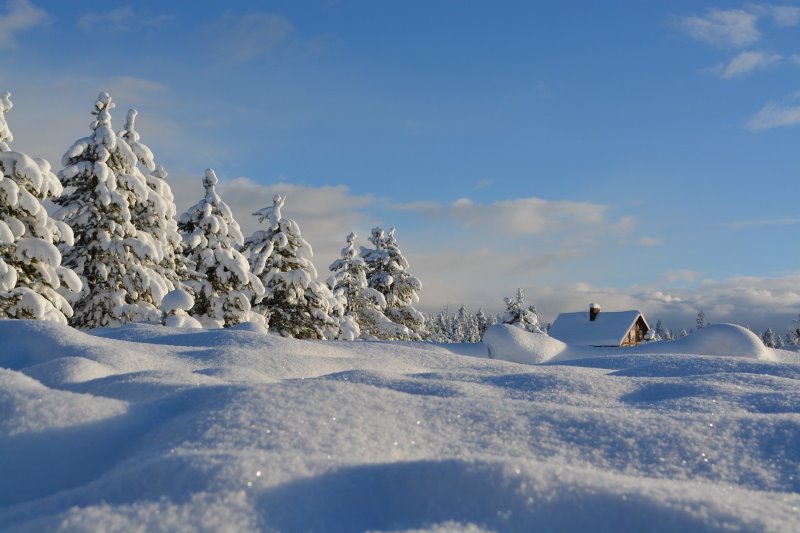 schneebedeckte Landschaft