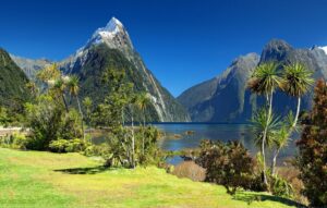 Neuseeland-Reise-Ratgeber