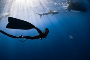 Ein Taucher im Meer umgeben von Haien.