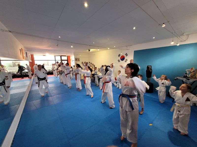 Taekwondo-Training in einer Gruppe mit Kindern und Erwachsenen, die die Bewegungen ausführen.