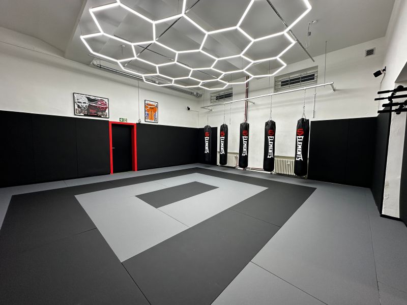 Molon Labe - MMA Club e.V.